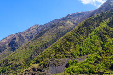 Obraz premium View on the Caucasian mountains in Georgia