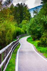 paved path among the green Italian woods in the European summer, holidays in the mountains