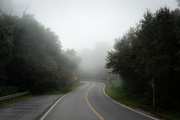 The misty way