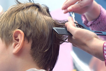 Fototapeta premium Hairdresser cutting hairs with scissors on boy's head. Back view, stylist's hands close-up.