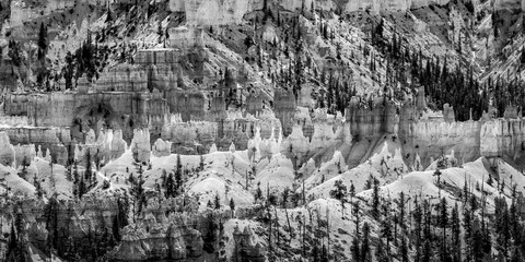 Fototapeta na wymiar Bryce Canyon monochrom