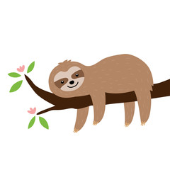 Cute sloth on the tree isolated on white background © aommaneesri