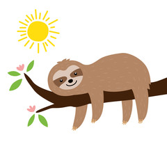 Cute sloth on the tree in the morning with the sun isolated on white background