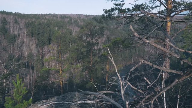 mountain river and forest from a bird's-eye view.