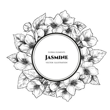 Vector frame with jasmine flowers. Hand drawn. Vintage style