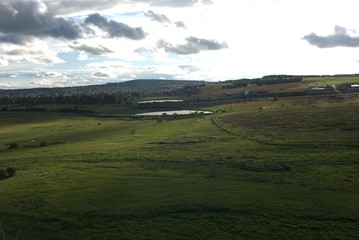 Fototapeta na wymiar view of green fields