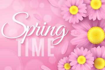 Realistic pink daisy flowers. Spring seasonal stylish modern cover for your project. Ecological composition. Abstract bokeh glare. Flying petals. Spring time. Vector illustration