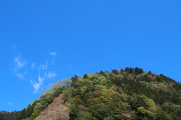 Fototapeta na wymiar 新緑の山