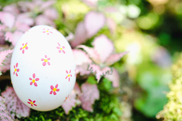 Beautiful Easter White color egg on garden