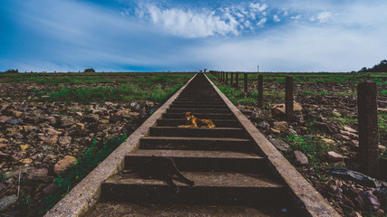 stair in the mountains