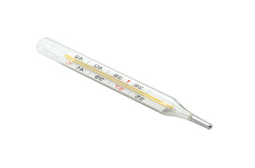 medical mercury thermometer