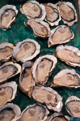 Lots of fresh oysters on sale
