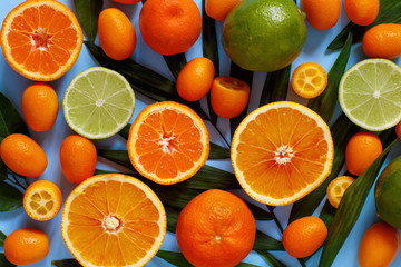 Citrus fruits on a blue background