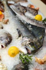 Different sorts of fish on white ice with herbs and lemon on the storefront