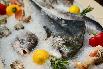 Different sorts of fish on white ice with herbs and lemon on the storefront