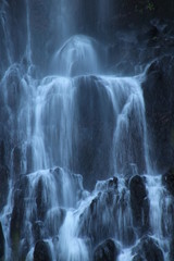 Risco Wasserfall - Madeira - Portugal
