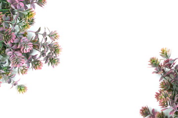 green artificial plant with space copy on white background