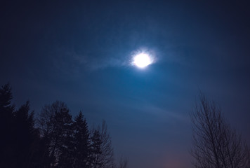 Naklejka premium Księżyc w pełni na nocnym niebie.