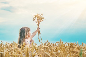 Fototapety  child in a wheat field. selective focus.