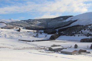 Fototapeta na wymiar Winter Mountain Landscape