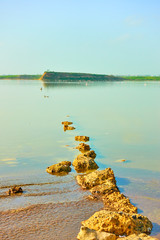 Salt lake near Larnaca