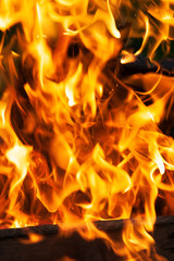 Fire flames close-up