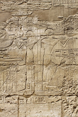 Fototapeta na wymiar Ancient egypt images and hieroglyphics