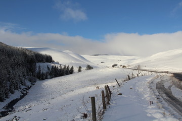 road in the mountains