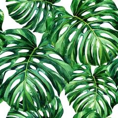 Wall murals Watercolor leaves Watercolor seamless pattern of tropical leaves.