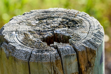 Old timber fence post close up