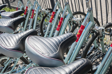 Bicycle seats. Bicycles stand in a row. background