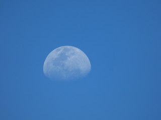 moon in the sky