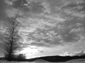 winter sunset, black white
