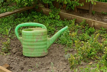 green dirty plastic watering can on grass and earth © butus