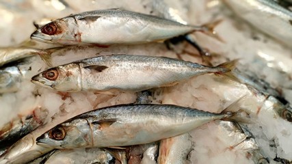 Saba fish in supermarket 