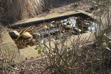 Garden Architektur,landscape, nature, sky, tree, mountain, panorama, forest, water, view, blue, mountains, travel, lake, green, clouds, summer, trees, sea, rock, panoramic, park, spring