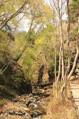 那須塩原温泉・竜化の滝