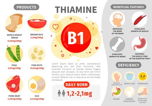 Infographics Vitamin B1. Products containing vitamin. Daily norm. Symptoms of deficiency. Vector medical poster.
