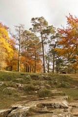 autumn in the countyside