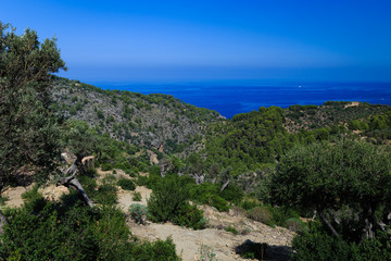hilly, mountainous surroundings by the sea; There are olive trees in the vicinity, the forest in the distance, the blue sea waters and the horizon