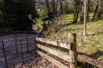 wooden fence and metal fence for entrance to the ancient park; gravelly walk along ornamental greenery and large trees; spring day and trees are leafless