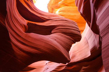 Obraz premium Amazing Lower Antelope Canyon in Arizona