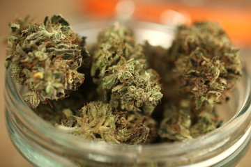 medical cannabis marijuana in a glass jar