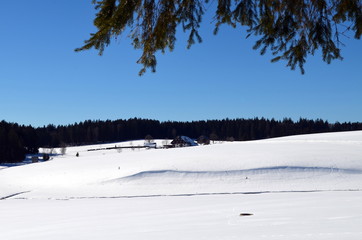 Verschneiter Schwarzwald