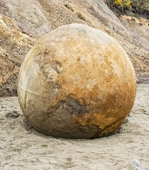 Fototapeta na wymiar Famous Moeraki boulder