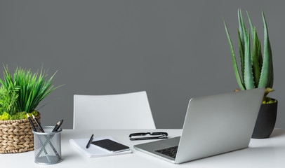Designer workplace. Laptop computer and evergreen plants