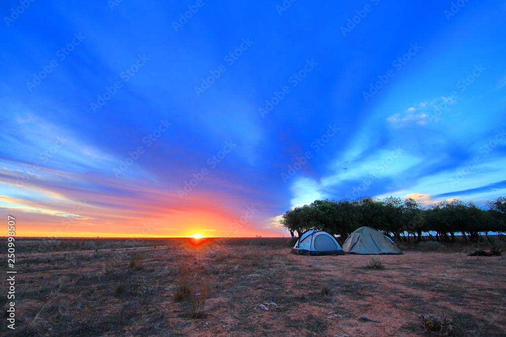 Poster Camping in Australian bush