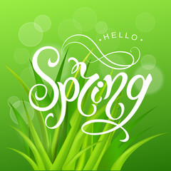 Spring time. Handwritten calligraphy lettering with grass background. Vector image.