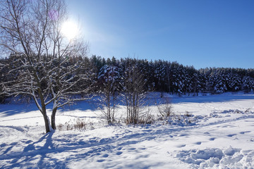Winter landscape with frozen river and forest in the frost. Winter sun