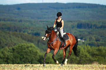 Young horse woman rides young horse on a harvested field in various gaits.